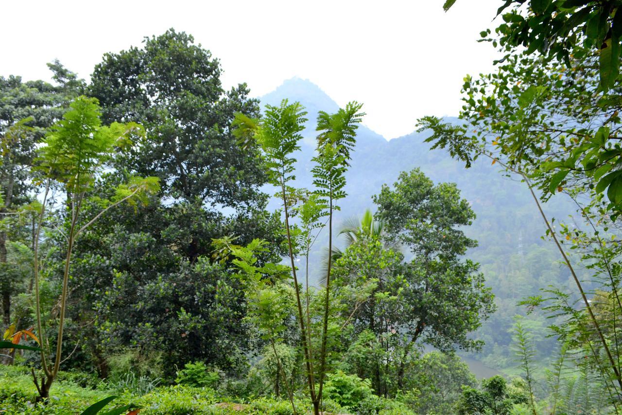 Sama Uyana * Gampola