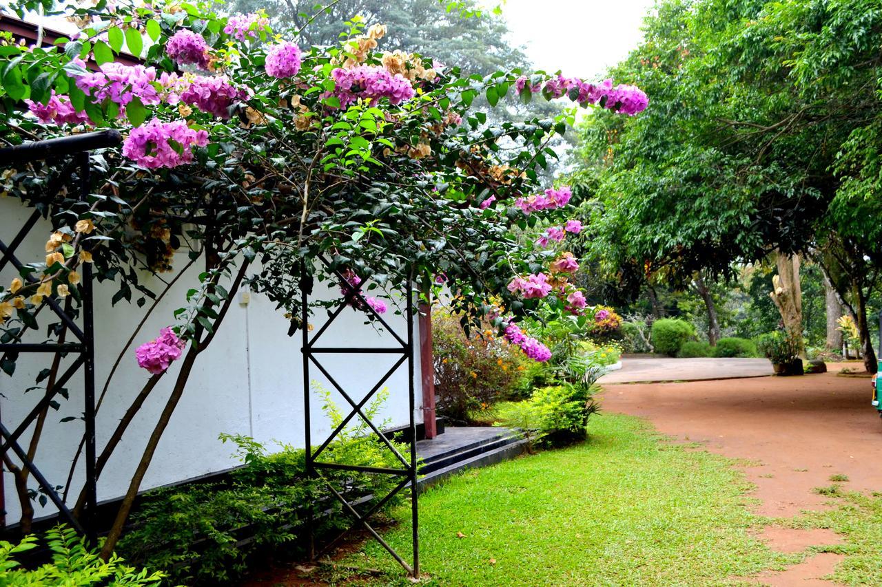 Sama Uyana Ferienhaus *